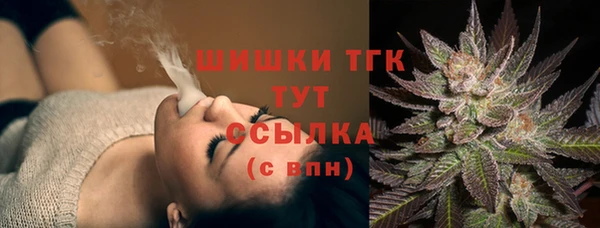 прущие грибы Балабаново