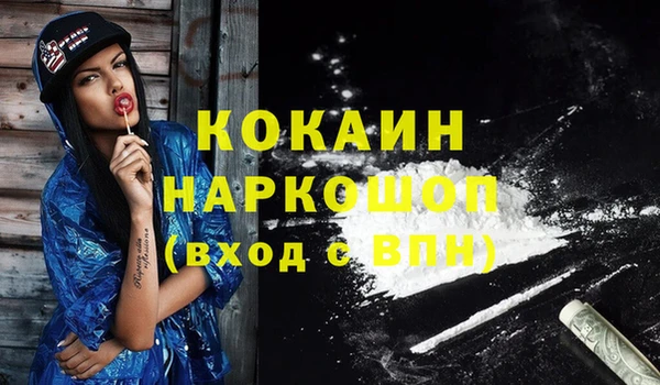 прущие грибы Балабаново