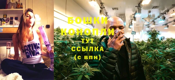 прущие грибы Балабаново