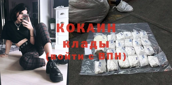 прущие грибы Балабаново