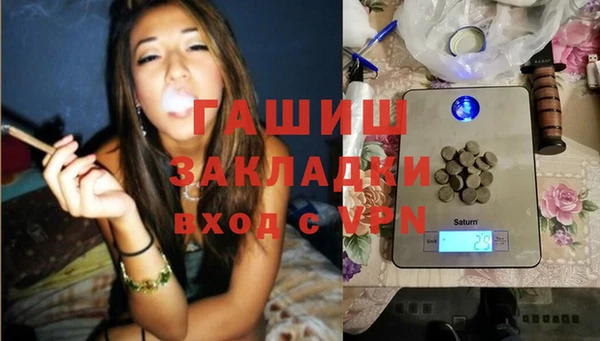 гашик Сосновка