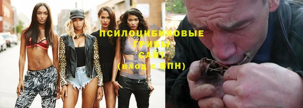 соль ск Сосновый Бор